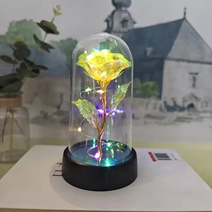 LORYSMA Magic Rose